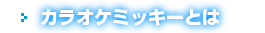 カラオケミッキーとは